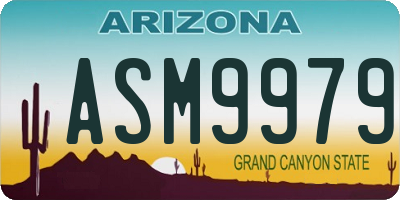 AZ license plate ASM9979