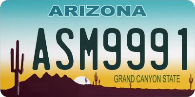 AZ license plate ASM9991