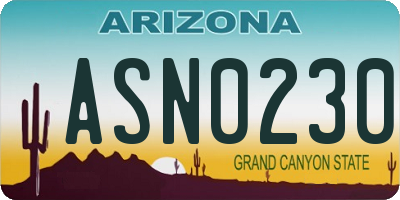 AZ license plate ASN0230