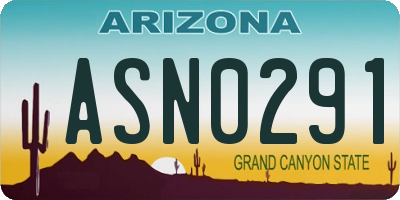 AZ license plate ASN0291