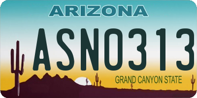 AZ license plate ASN0313
