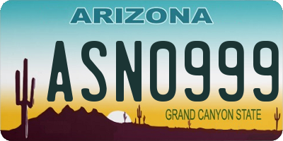 AZ license plate ASN0999