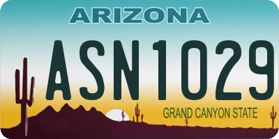 AZ license plate ASN1029