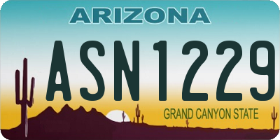 AZ license plate ASN1229
