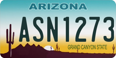 AZ license plate ASN1273