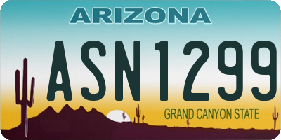 AZ license plate ASN1299