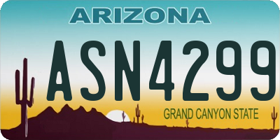 AZ license plate ASN4299