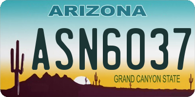 AZ license plate ASN6037