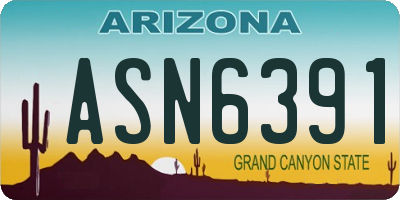 AZ license plate ASN6391