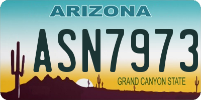 AZ license plate ASN7973