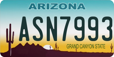 AZ license plate ASN7993