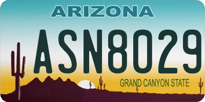 AZ license plate ASN8029
