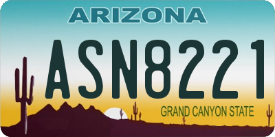 AZ license plate ASN8221