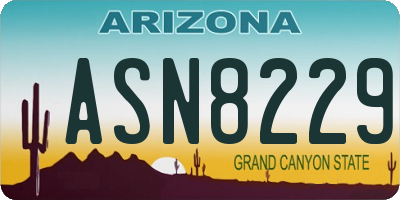 AZ license plate ASN8229