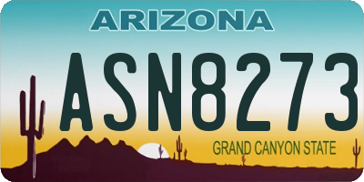 AZ license plate ASN8273