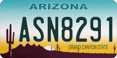 AZ license plate ASN8291