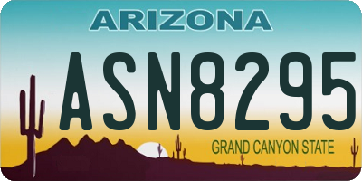 AZ license plate ASN8295