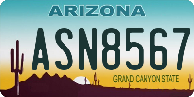 AZ license plate ASN8567