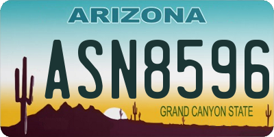 AZ license plate ASN8596