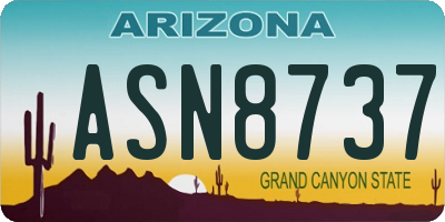 AZ license plate ASN8737