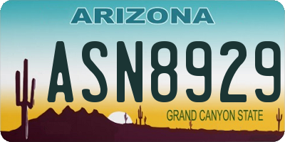 AZ license plate ASN8929