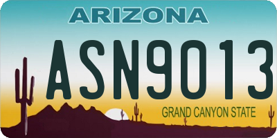 AZ license plate ASN9013