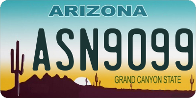 AZ license plate ASN9099