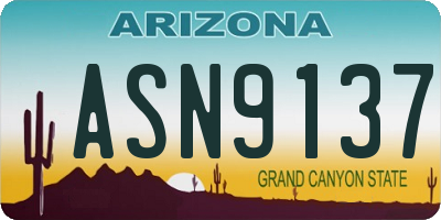 AZ license plate ASN9137
