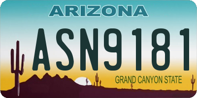 AZ license plate ASN9181