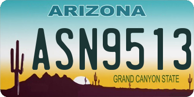 AZ license plate ASN9513