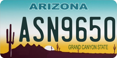 AZ license plate ASN9650