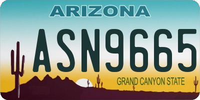 AZ license plate ASN9665