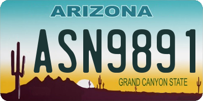 AZ license plate ASN9891