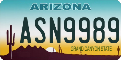 AZ license plate ASN9989