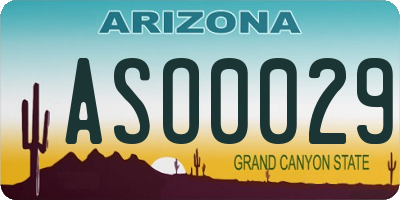 AZ license plate ASO0029