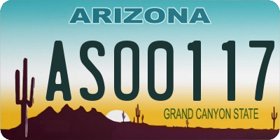 AZ license plate ASO0117