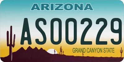 AZ license plate ASO0229
