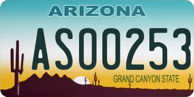 AZ license plate ASO0253