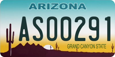 AZ license plate ASO0291