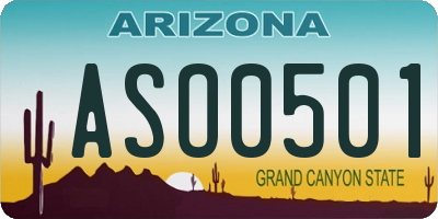 AZ license plate ASO0501