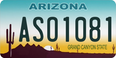 AZ license plate ASO1081