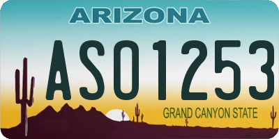 AZ license plate ASO1253