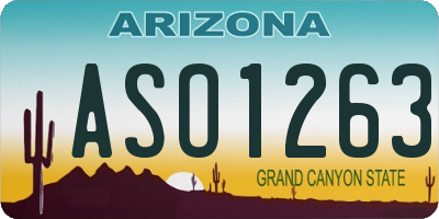 AZ license plate ASO1263