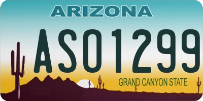 AZ license plate ASO1299