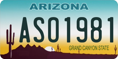 AZ license plate ASO1981