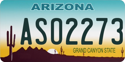 AZ license plate ASO2273