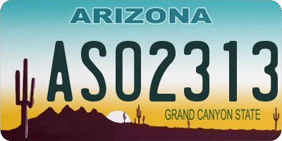AZ license plate ASO2313