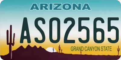 AZ license plate ASO2565