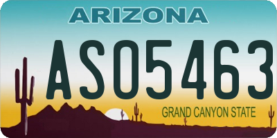 AZ license plate ASO5463