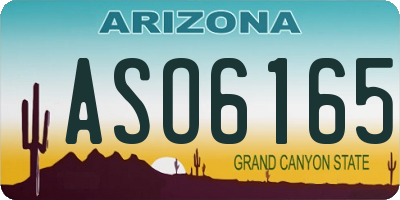 AZ license plate ASO6165